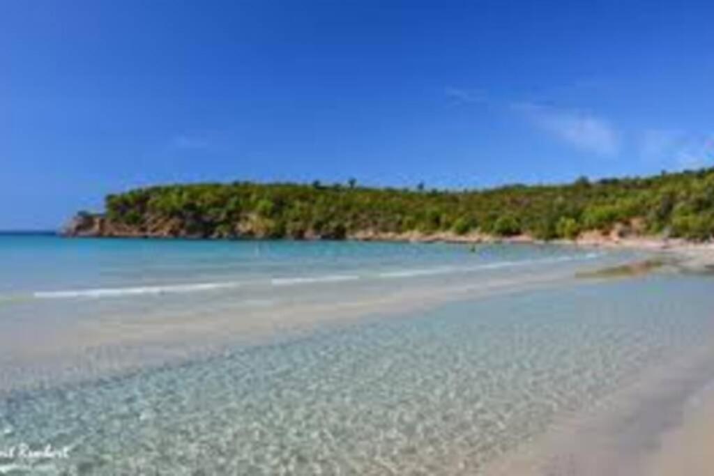 Studio Climatise Proche Port Et Plages La Londe-les-Maures Zewnętrze zdjęcie